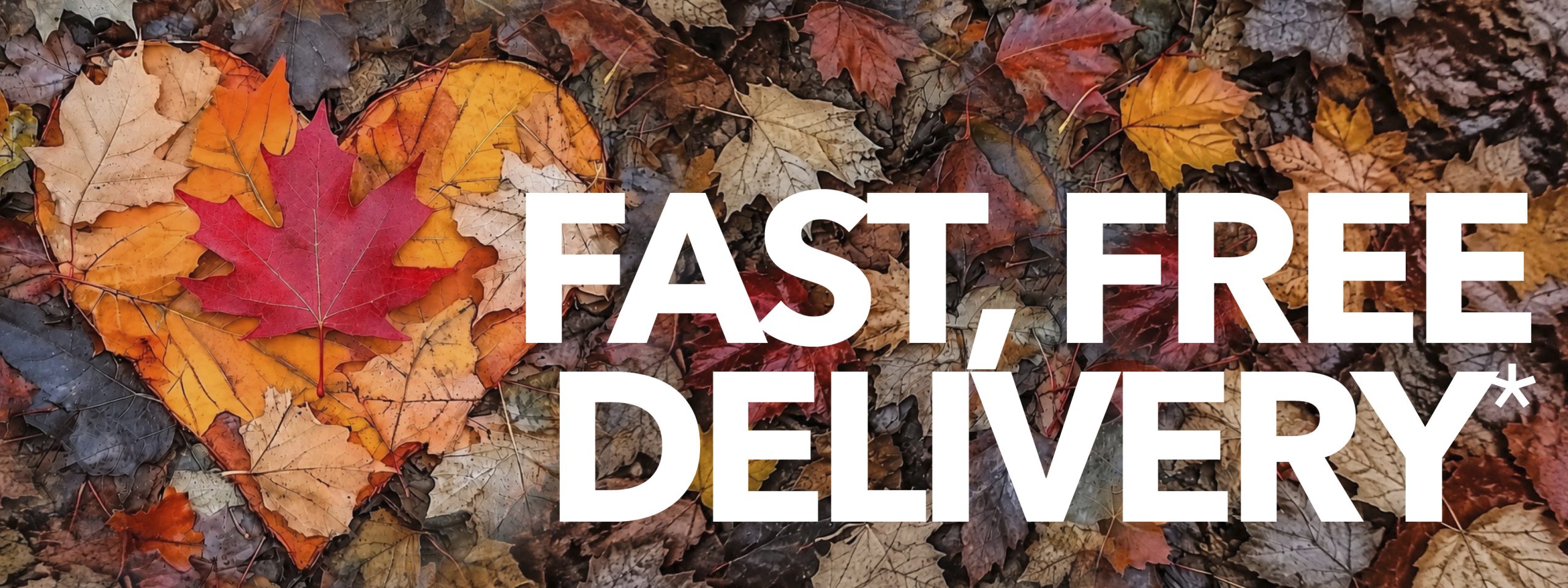 Bournemouth Bedding Centre Autumn Clearance